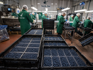 Norway Fruit Inspection QC Surveys